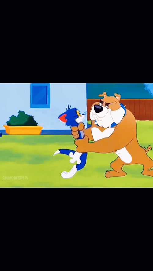 动画片中的离谱行为 那些匪夷所思的代理代办名场面